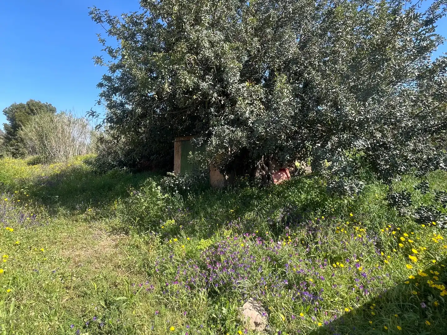 Country house zum Verkauf in La Unión