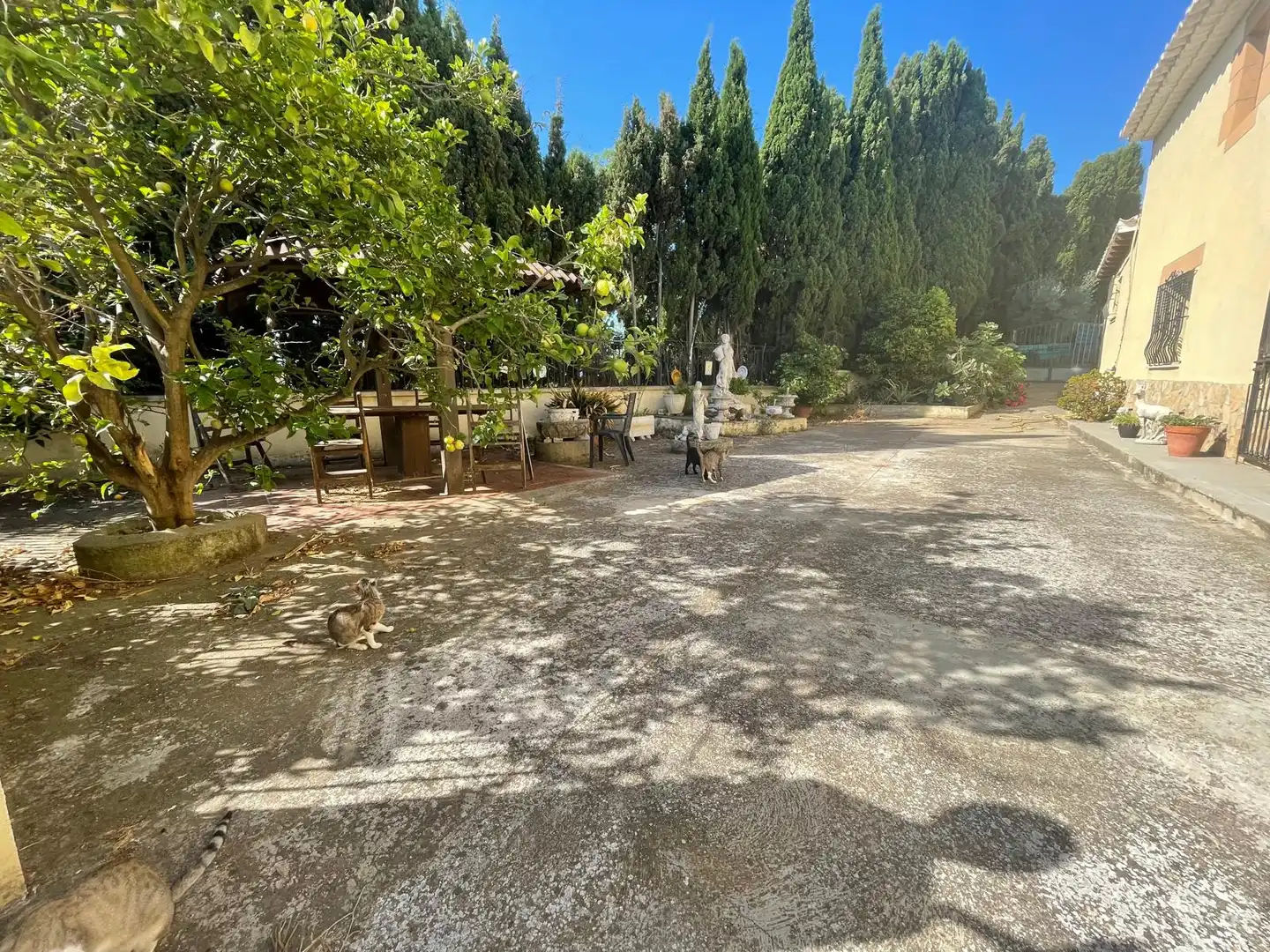 Vista exterior de Casa o xalet en venda en Malgrat de Mar amb Calefacció, Jardí privat i Terrassa
