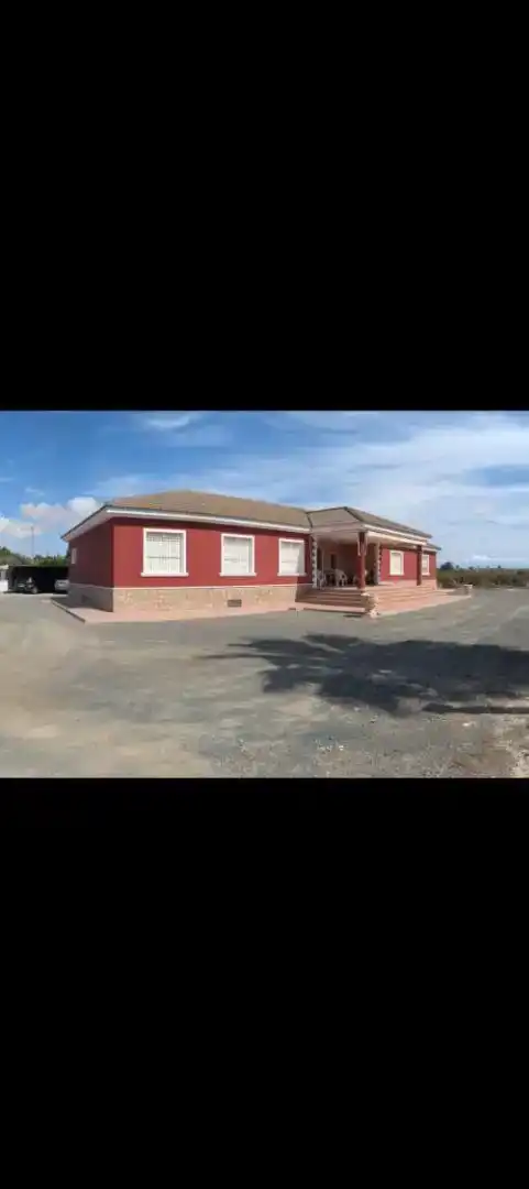 Vista exterior de Casa o chalet en venta en Elche / Elx con Aire acondicionado y Piscina