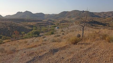 Foto 5 von Grundstücke zum Verkauf in Bejar, Lorca