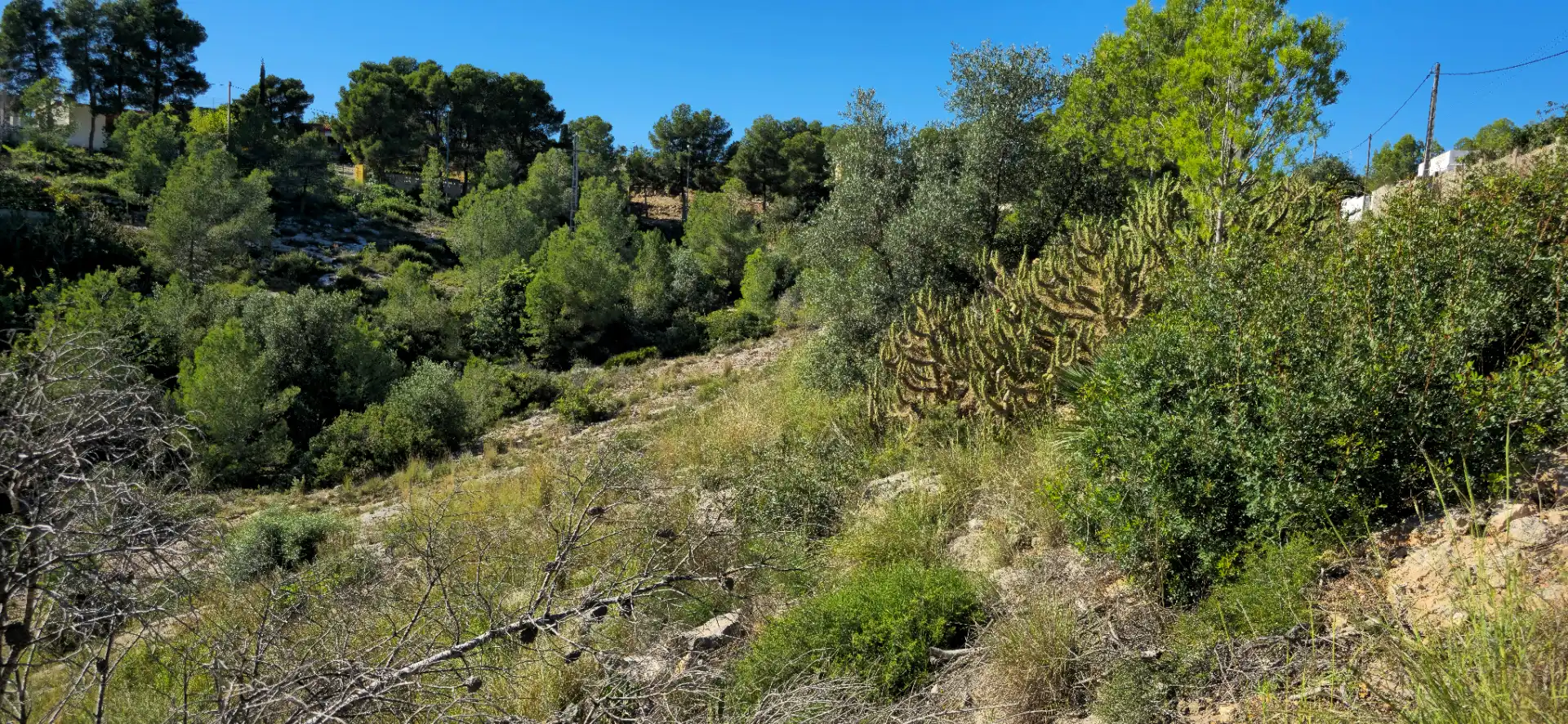 Wohnbaugrundstück zum Verkauf in Calle C/2 Lloma Molina 31, imagen 14