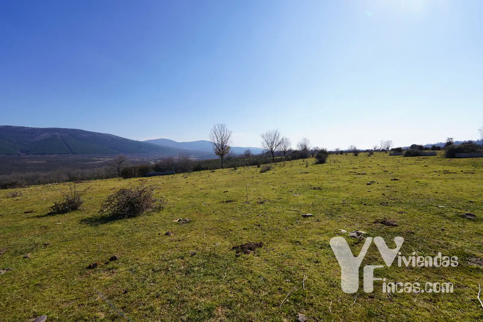 Terreno rústico en venta en Campillo de Ranas, imagen 2
