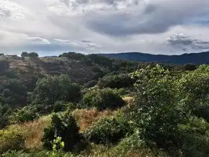 Terreni e lotti in vendita a Jarandilla de la Vera, imagen 3