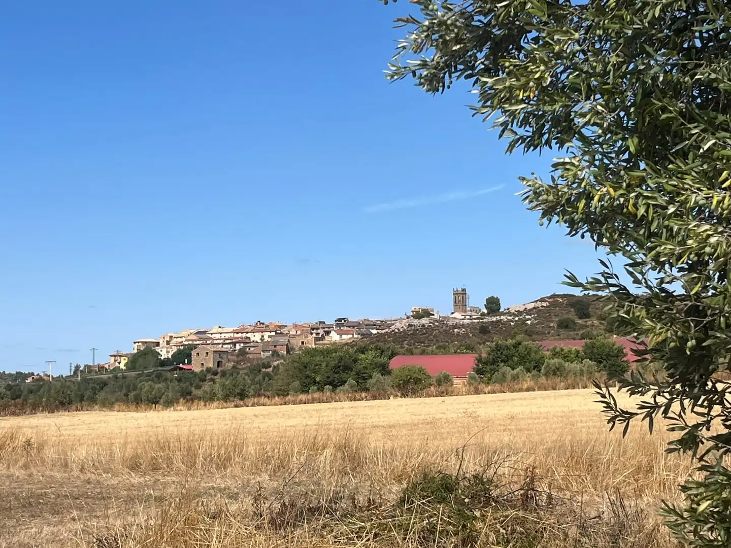 Terreno rustico in vendita a Cretas, imagen 16