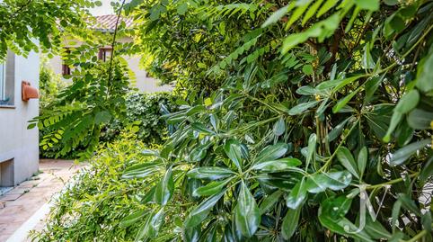 Foto 4 de Casa o xalet en venda a Glorieta de Fuentidueñas, 6, Niño Jesús, Madrid
