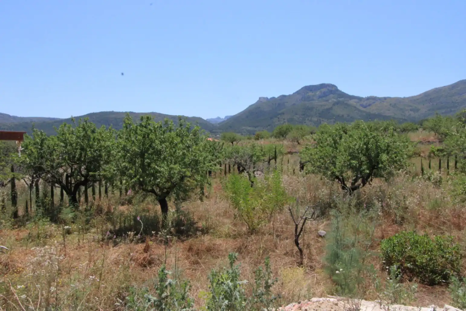 Casa o chalet en venta en Alcalalí con Aire acondicionado, Calefacción y Jardín privado