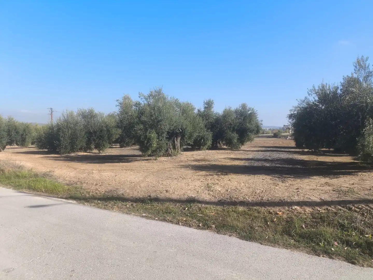 Terreni e lotti in vendita a Mengíbar, imagen 7