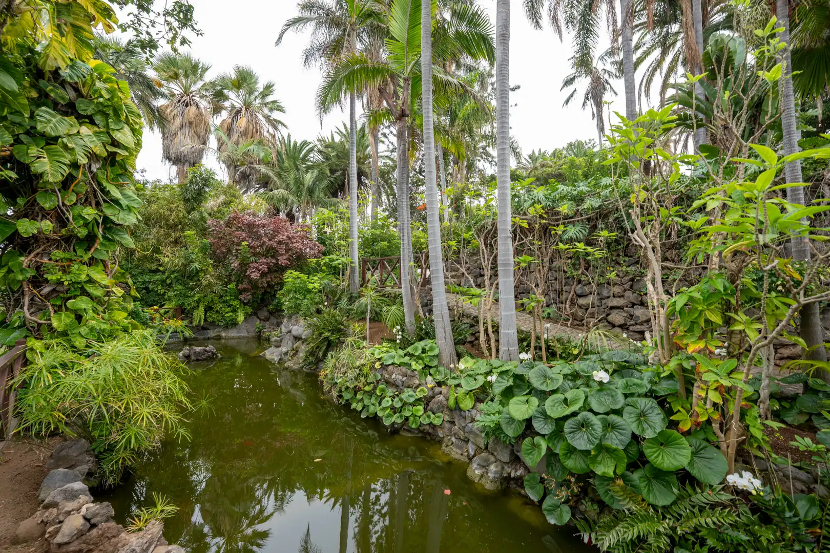 Garten von Wohnung zum Verkauf in Los Realejos mit Möbliert, Balkon und Gemeinschaftspool