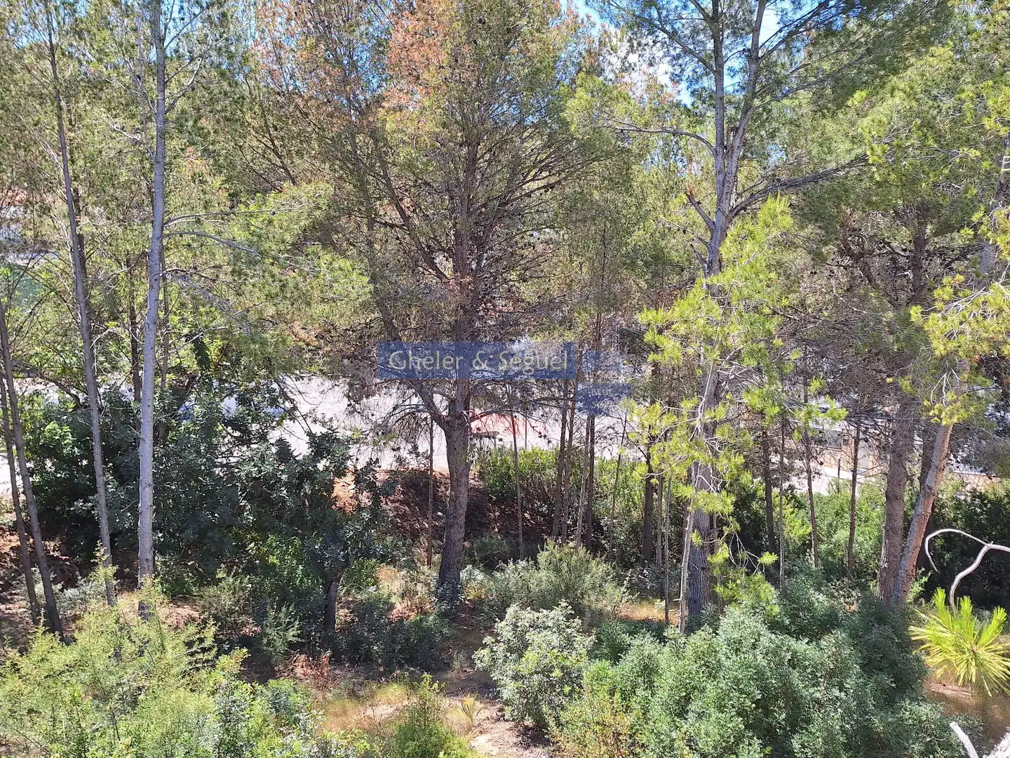 Lands and plots for sale in Gilet, imagen 4