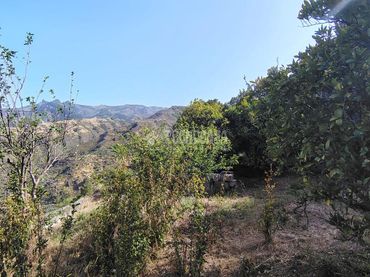 Rustikales Grundstück zum Verkauf in Vega de San Mateo