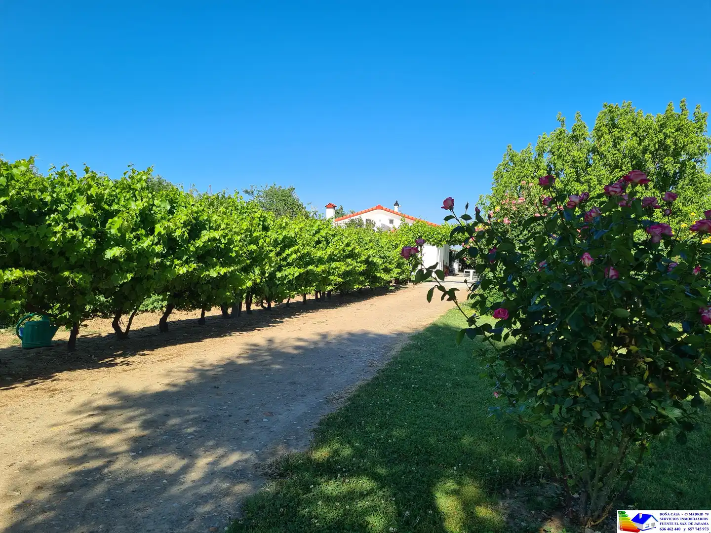 Jardín de Casa o chalet en venta en Fuente El Saz de Jarama con Aire acondicionado, Calefacción y Jardín privado