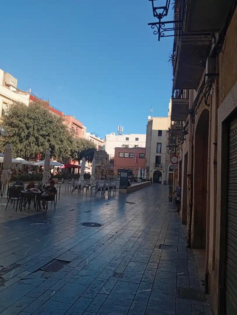 Flat for rent in Carrer de la Merceria, Part Alta