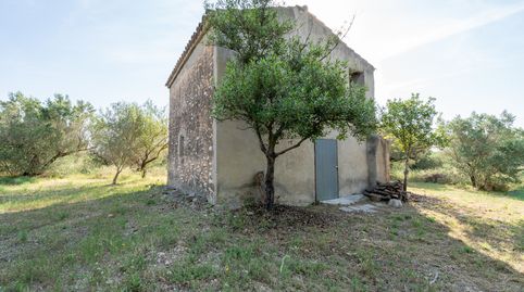 Finca rústica con masía de 2 plantas para reformar, imatge 2