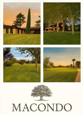 Finca rústica en Alquiler en Caserio Ventas Geria, 21 en Geria