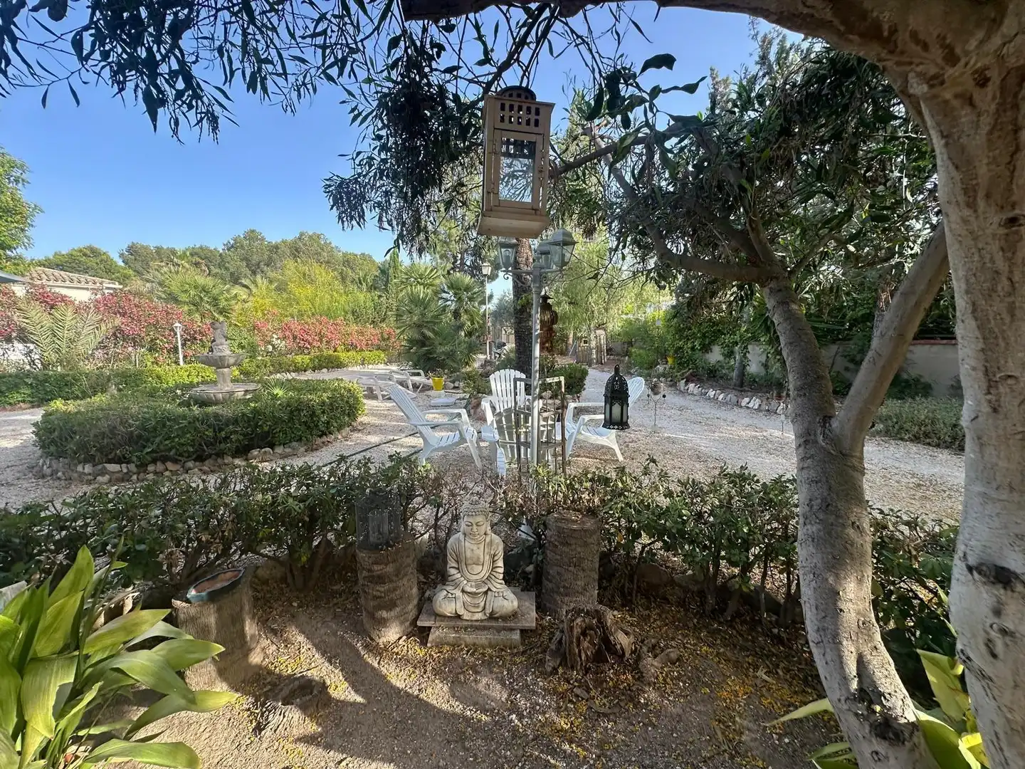 Jardí de Casa o xalet en venda en Monóvar  / Monòver amb Jardí privat