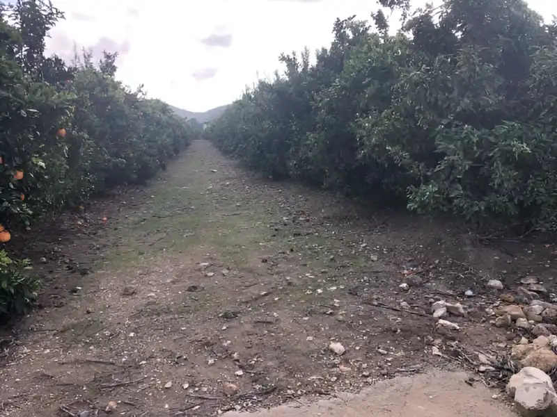 Rustikales Grundstück zum Verkauf in PARAJE EMBASTIDA O BASTIDA, imagen 6