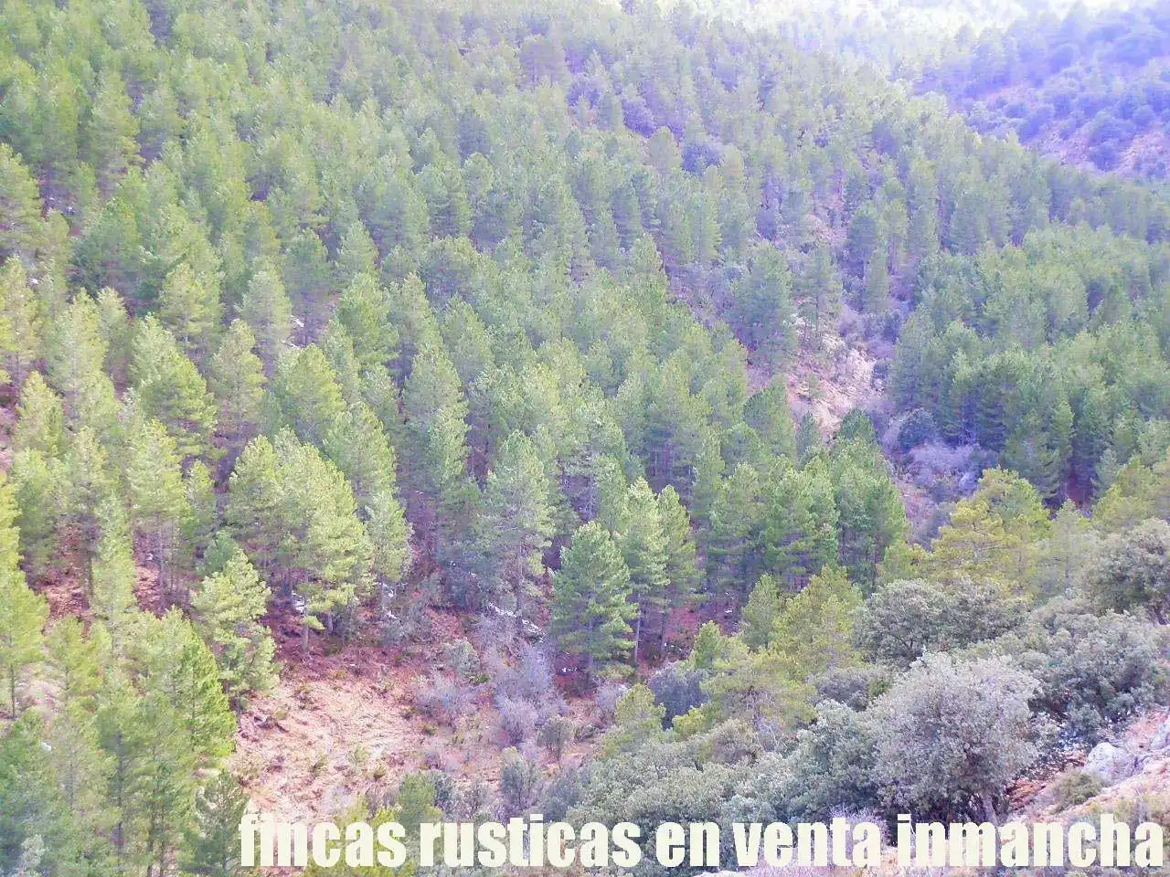 Terreni e lotti in vendita a Nerpio, imagen 5