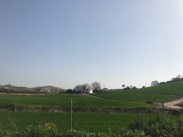 Grundstücke zum Verkauf in Guadalcázar