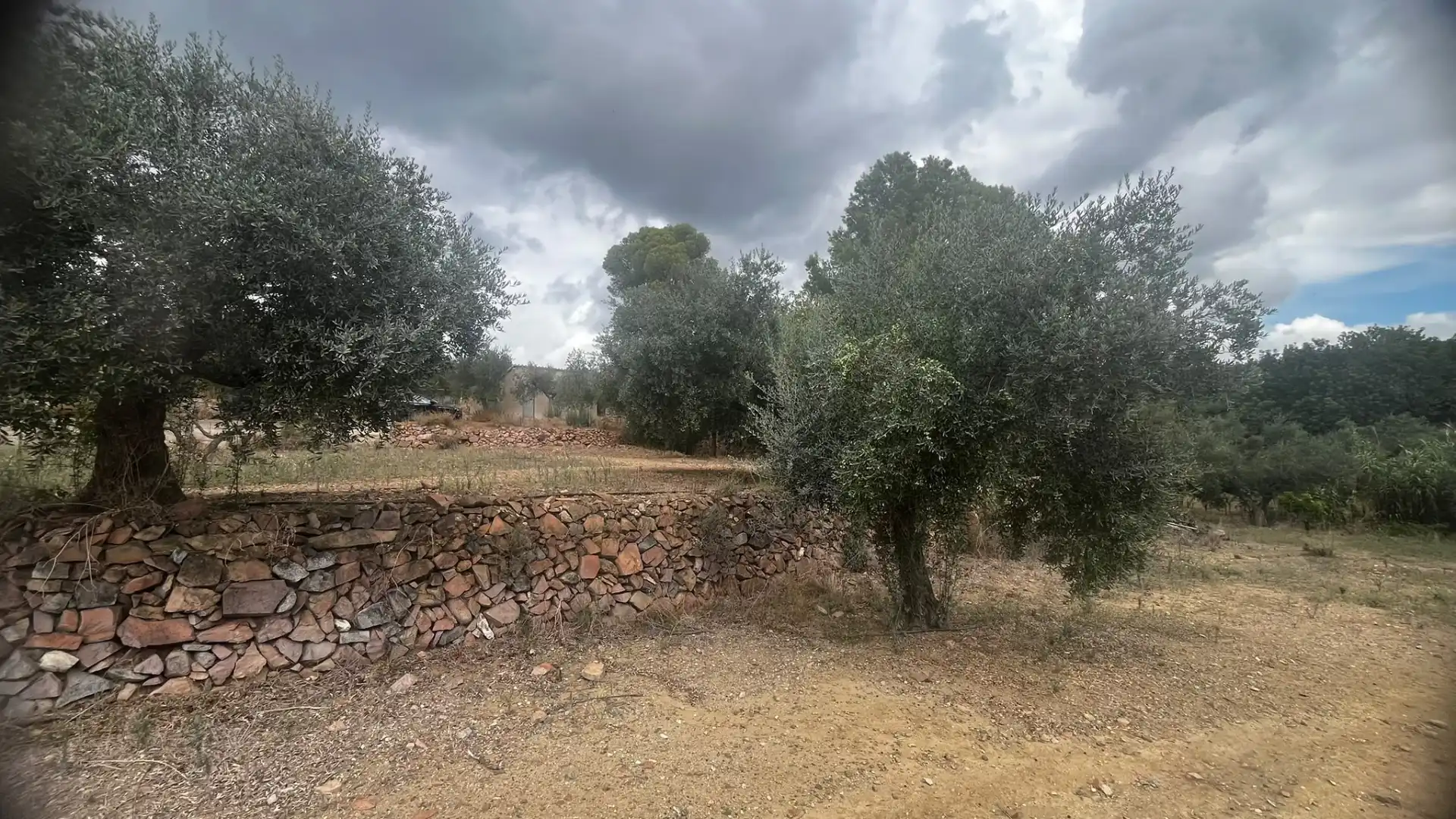 Terreno rustico in vendita a Carrer de Sant Abdó i Sant Senén, imagen 28