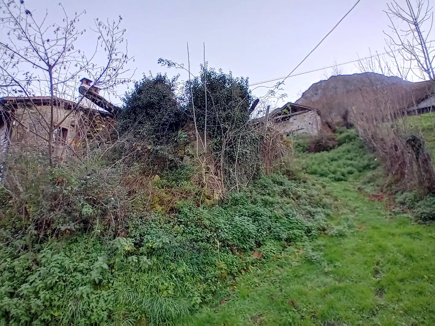 Finca rústica en venta en Amieva
