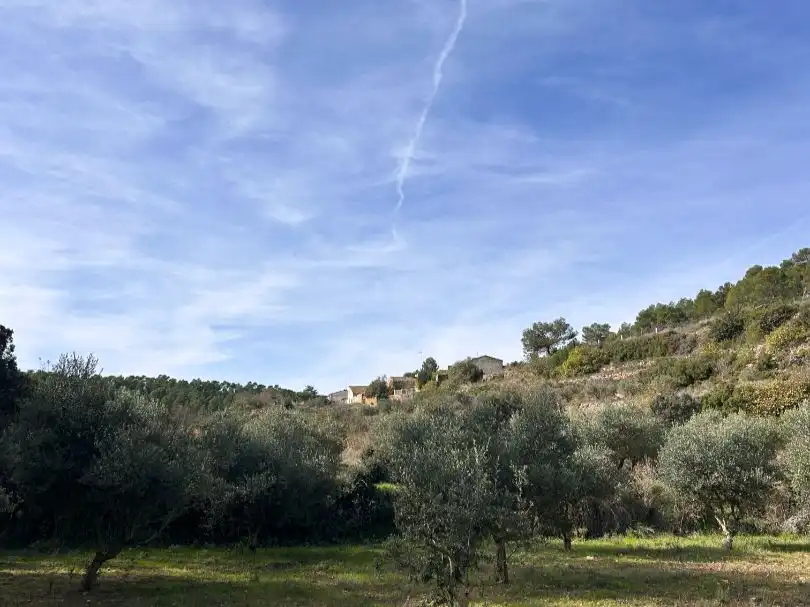 Country homes for sale in Enguera
