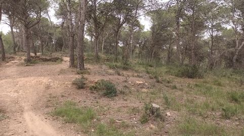 Foto 5 de Terreno en venta en Torre Vella - Torre Gran - Les Dunes, L'Estartit
