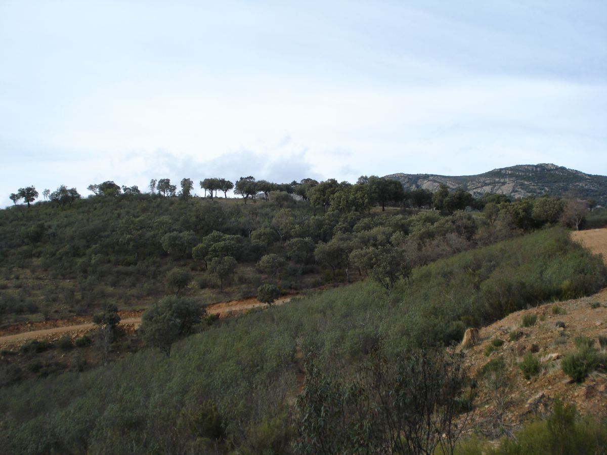 Finca rústica en venda en Ciudad Real Capital