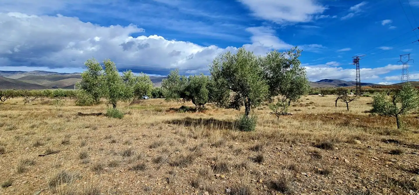 Lands and plots for sale in Campo de Gergal, imagen 13