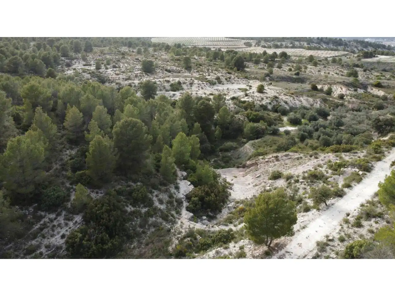 Terreno residencial en venta en Caravaca de la Cruz, imagen 26