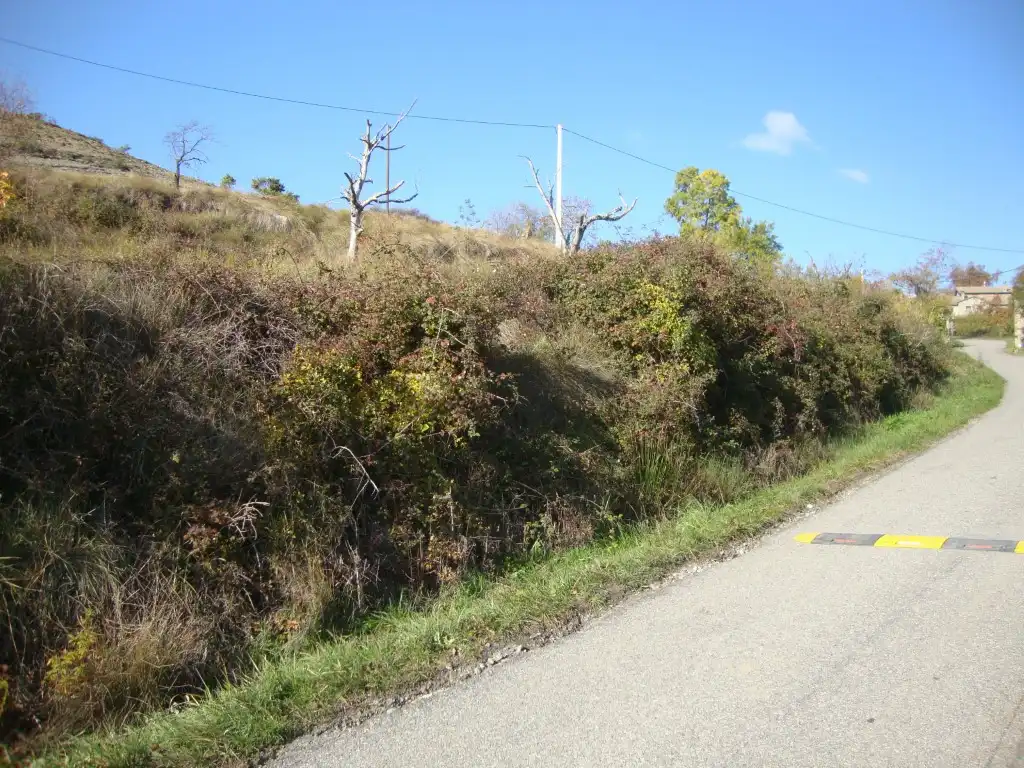 Residential for sale in Carretera Pueyo de Araguas, El Pueyo de Araguás