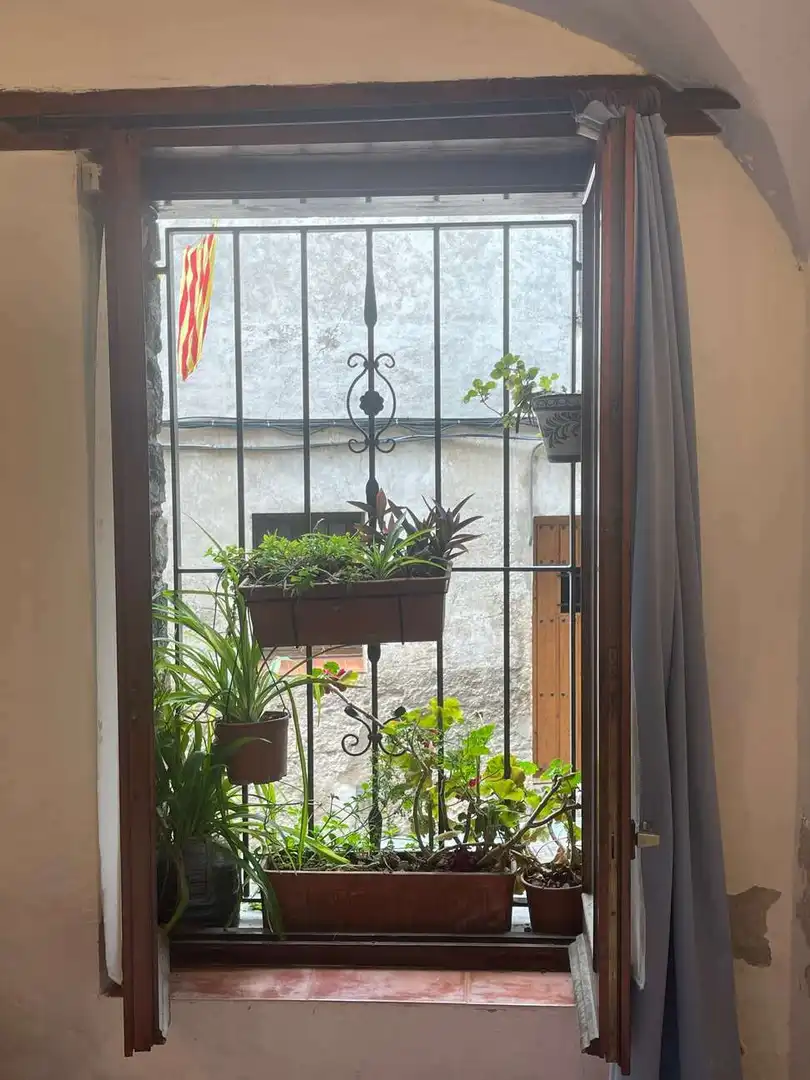 Terrassa de Finca rústica en venda en Castellfollit de la Roca amb Calefacció i Balcó