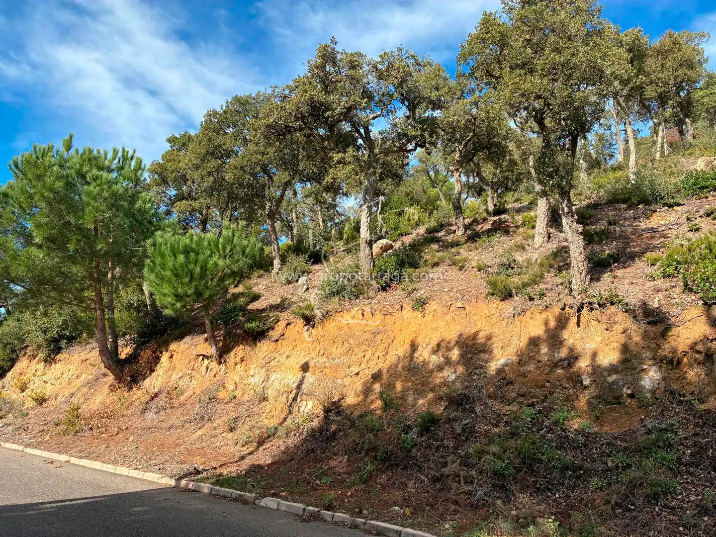 Terreno residencial en venta en Carrer Pollancre 43