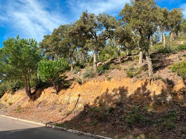Terreny residencial en venda a Carrer Pollancre 43