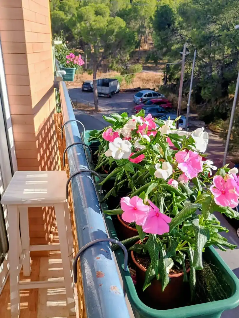 Appartement avec ascenseur à louer à CARRETAS 33, imagen 8