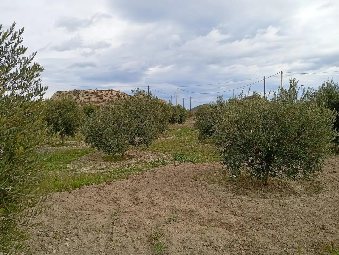 Terrenys i solars en venda a Mojácar Pueblo, imagen 6
