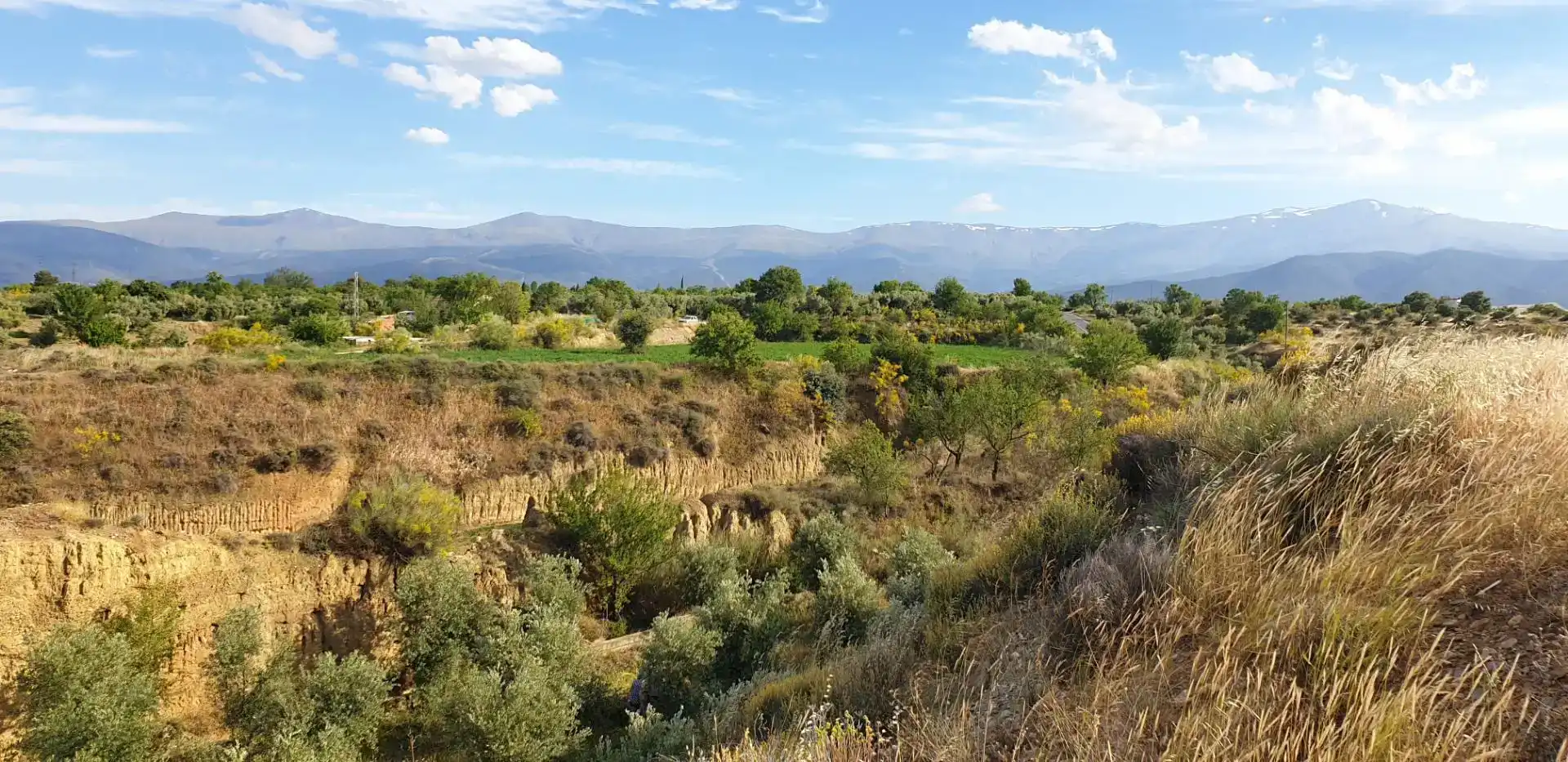 Finca rústica en venda en Guadix