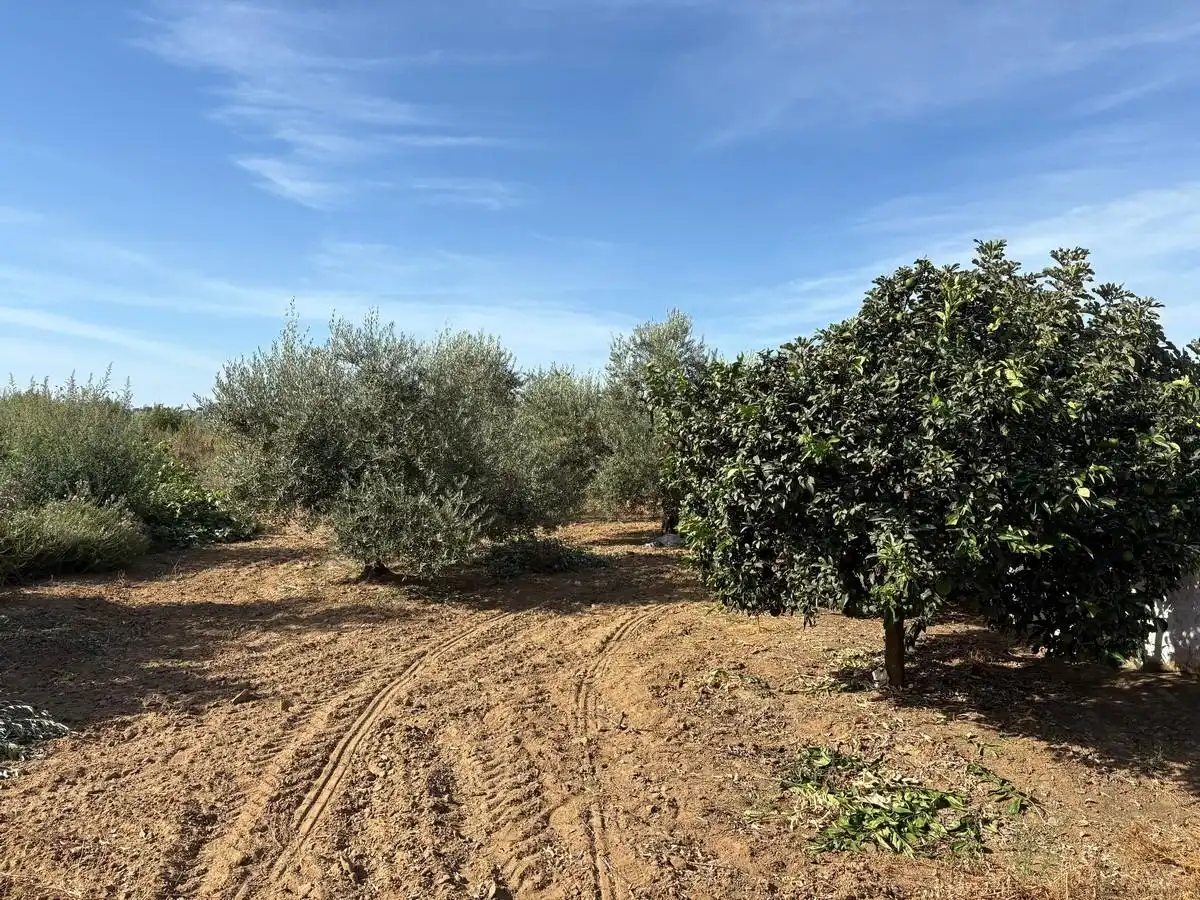 Rustikales Grundstück zum Verkauf in Bollullos Par del Condado, imagen 3