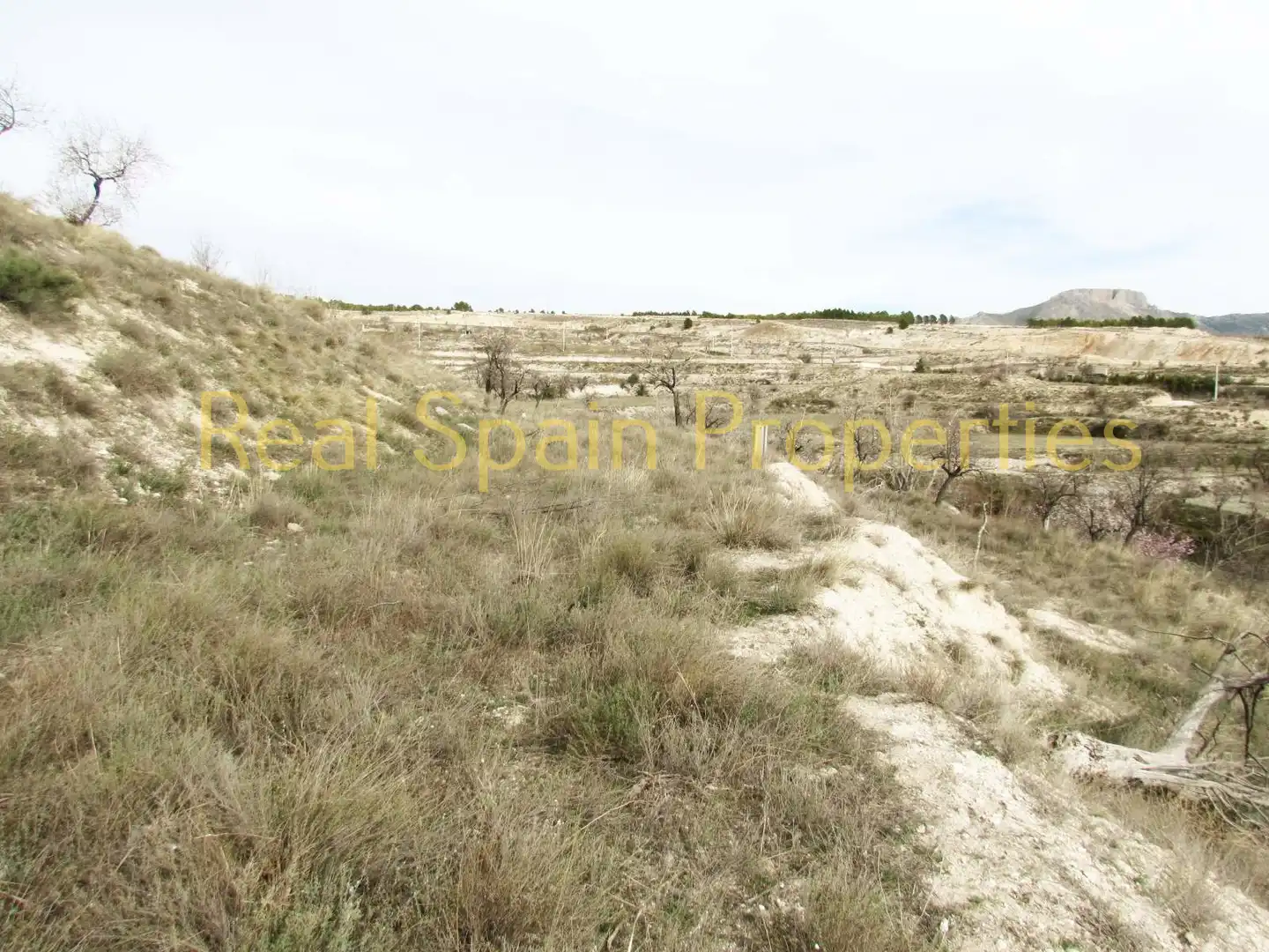 Terrenos y solares en venta en Vélez-Blanco, imagen 6