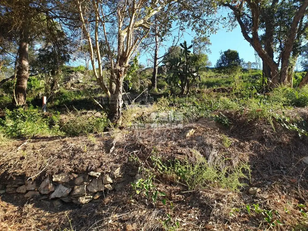 Terreno residencial en venta en Begur pueblo, imagen 5