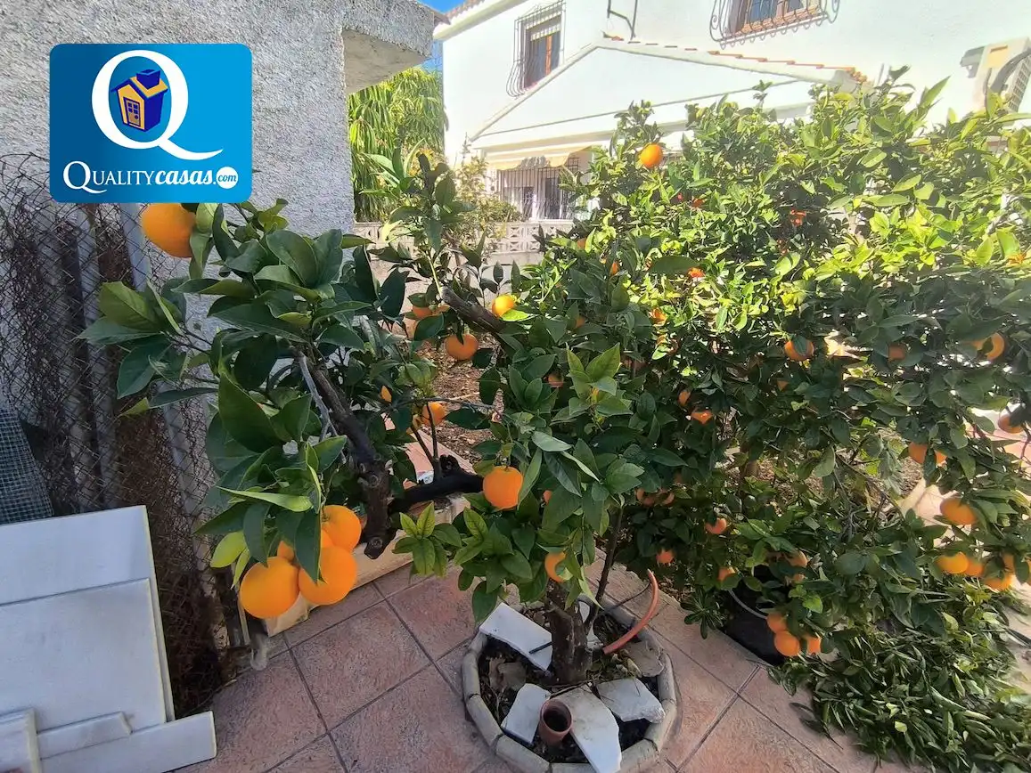 Villa à vendre à Haygon - Universidad, imagen 25