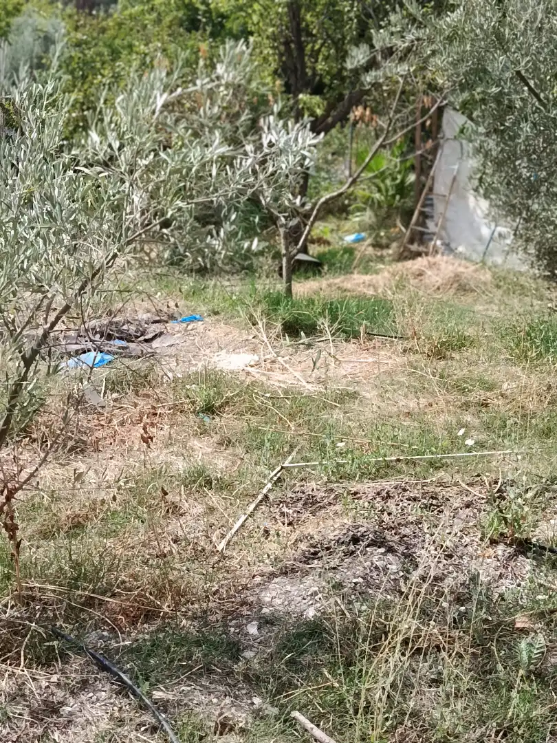 Terreni e lotti in vendita a Camino de las Huertas Grandes
