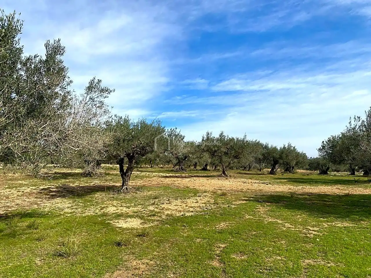 Terreno rustico in vendita a Planas, imagen 6