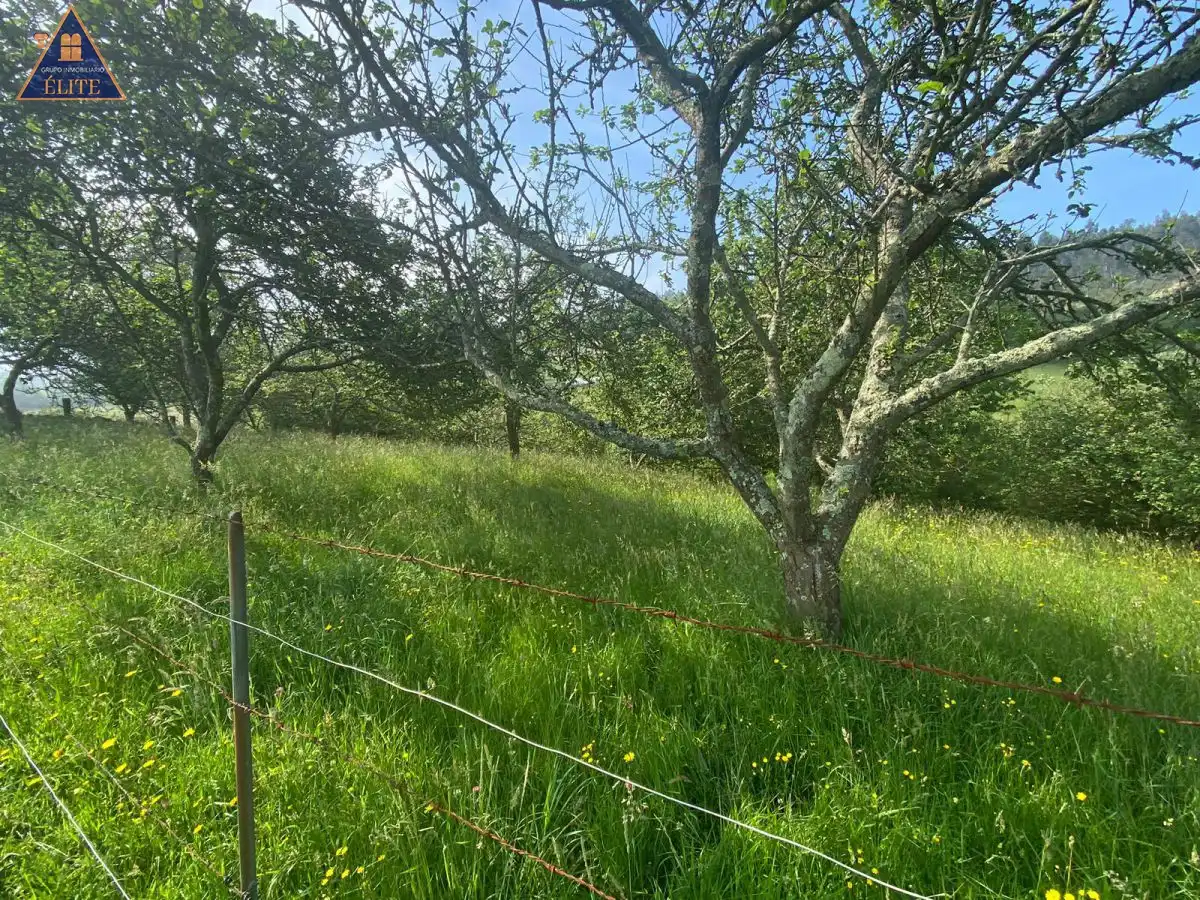 Finca rústica en venda en Villaviciosa