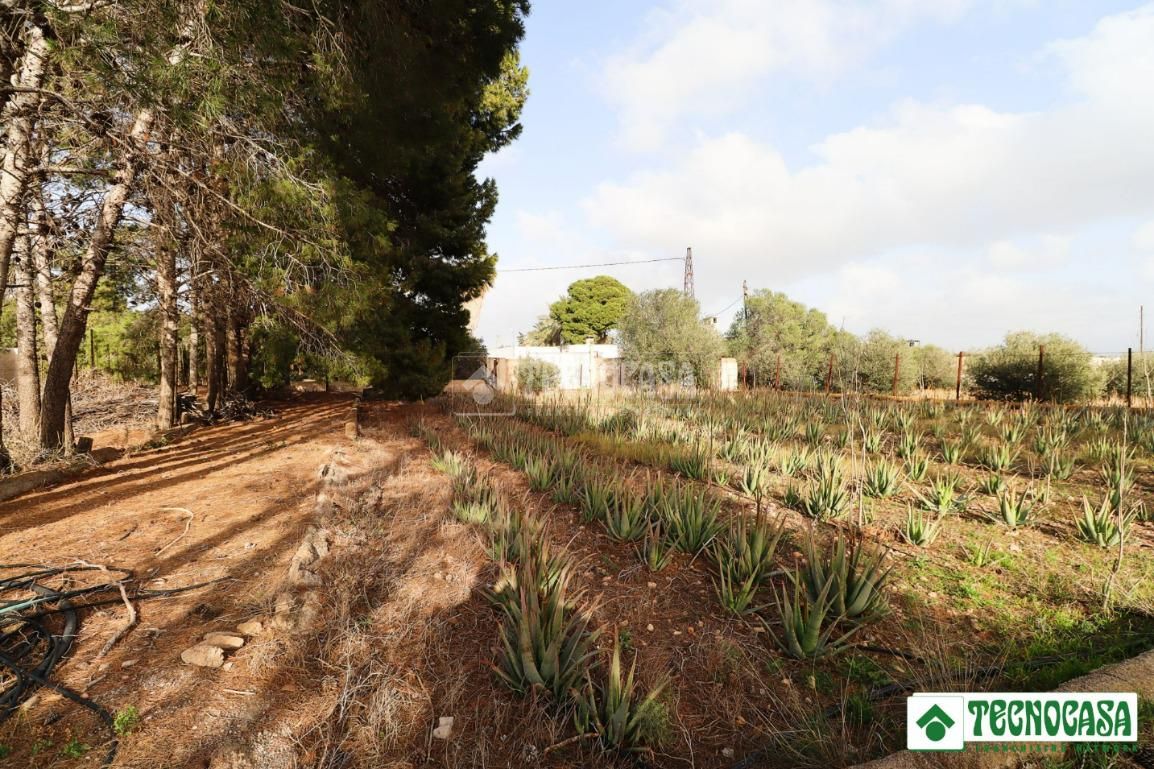 Finca rústica en venta en San Isidro - Campohermoso