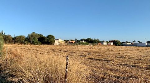 FINCA RUSTICA EN EL PALMAR, imatge 5
