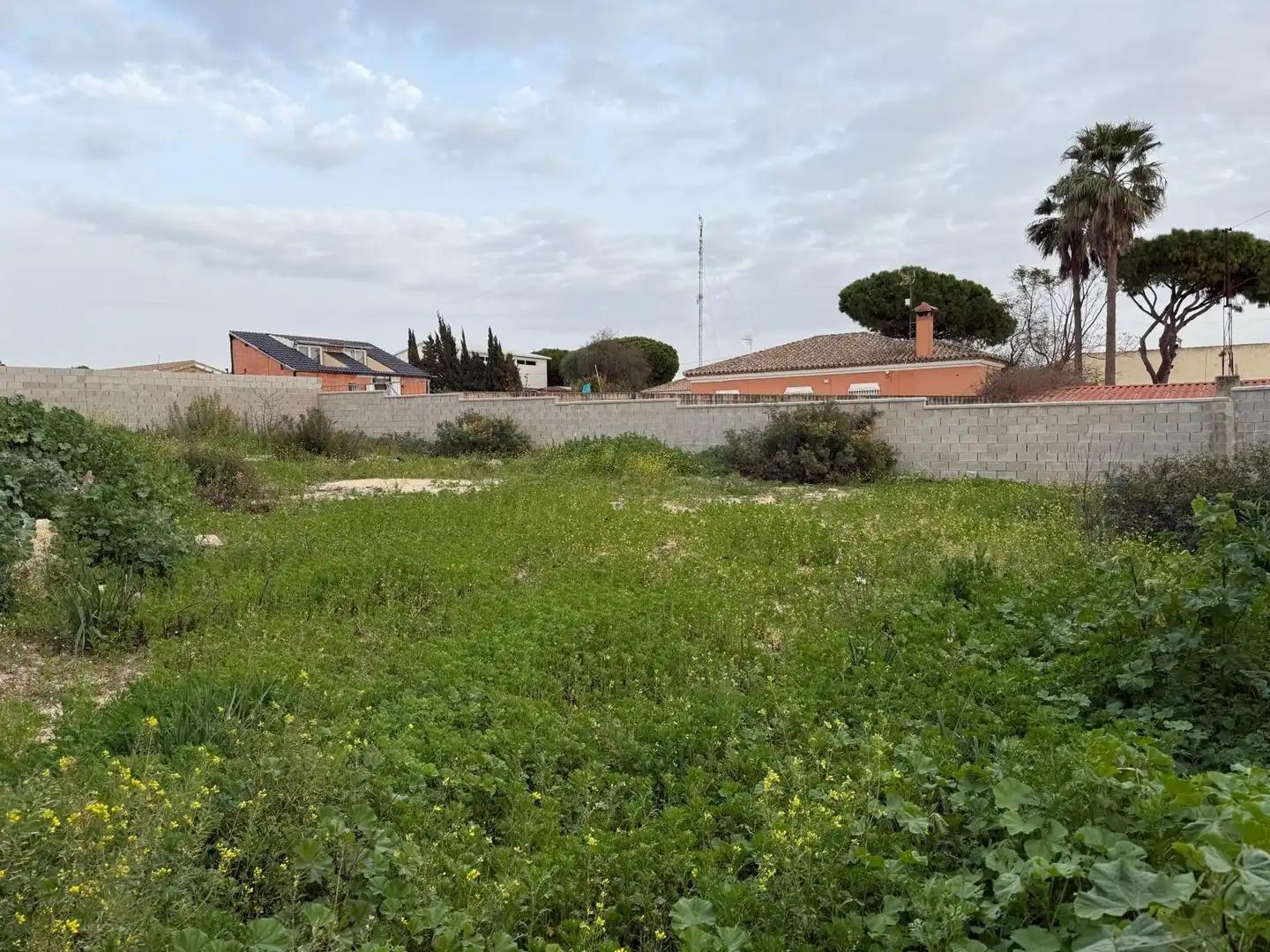 Rustikales Grundstück zum Verkauf in Las Lagunas - Campano