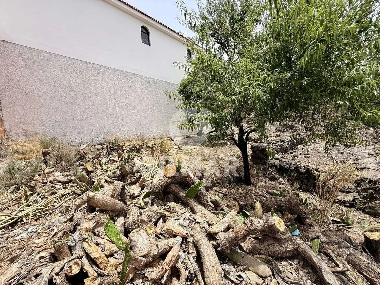 Vista exterior de Casa o xalet en venda en Santiago del Teide