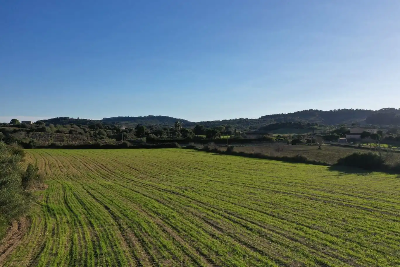 Rural land for sale in Cas Concos - Santanyí, imagen 9
