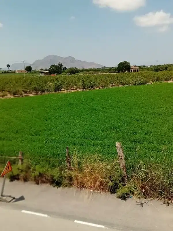 Casa pareada en venta en Daya Nueva, imagen 9
