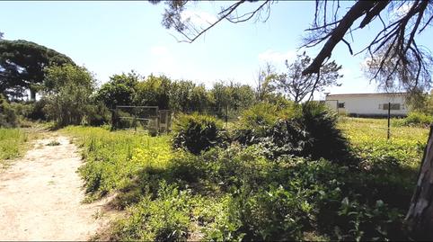 Foto 5 de Finca rústica en venda a El Almedral, Cádiz